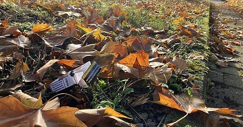 In diesem Bereich griffen die Polizisten nach Angaben des Schwagers in Offenau zu. In diesem Bereich griffen die Polizisten nach Angaben des Schwagers in Offenau zu.
