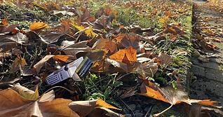 In diesem Bereich griffen die Polizisten nach Angaben des Schwagers in Offenau zu.