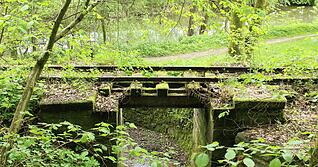 Jagsttalbahn Gleise zwischen Berlichingen und Kloster Schöntal