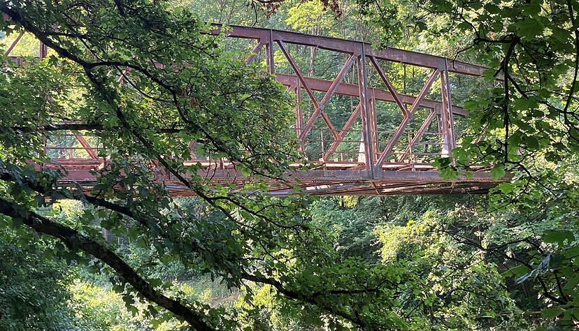 Historisches Relikt: Die alte Brücke über die Murr beim gleichnamigen Ort ist das größte Überbleibsel der Bottwartalbahn. Jetzt könnte die Strecke zwischen Heilbronn und Marbach neu gebaut werden.
