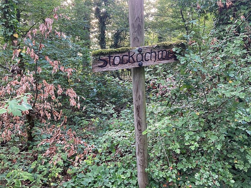 Im Waldstück Stöckach zwischen Fürfeld und Massenbachhausen befindet sich der Tatort.