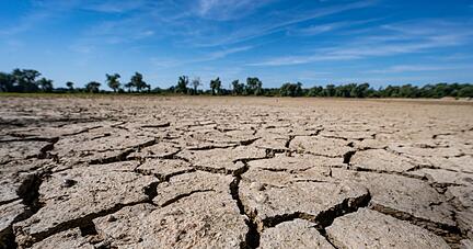 Aufgerissen und ausgetrocknet ist eine Sandbank an der Niedrigwasser führenden Donau. Aufgerissen und ausgetrocknet ist eine Sandbank an der Niedrigwasser führenden Donau.