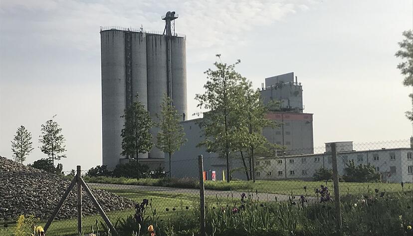 Auf den Silotürmen der Beweka in Heilbronn brüten Wanderfalken. Foto: Kümmerle