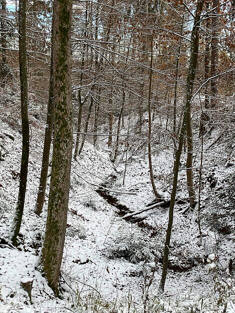 Im Wald bei Wüstenrot zeigt sich jedoch noch am Samstag eine weiße Winterlandschaft.