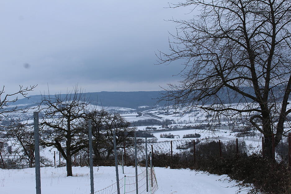 Vom Charlottenberg in Pfedelbach-Heuberg blickt man in die verschneite Landschaft.