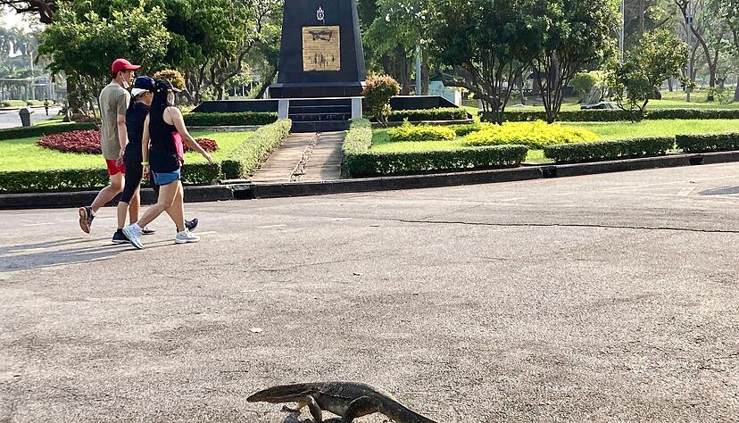 Manche erstarren vor Schreck, andere sind l&auml;ngst an die Riesenechsen in Bangkok ber&uuml;hmtestem Park gew&ouml;hnt.