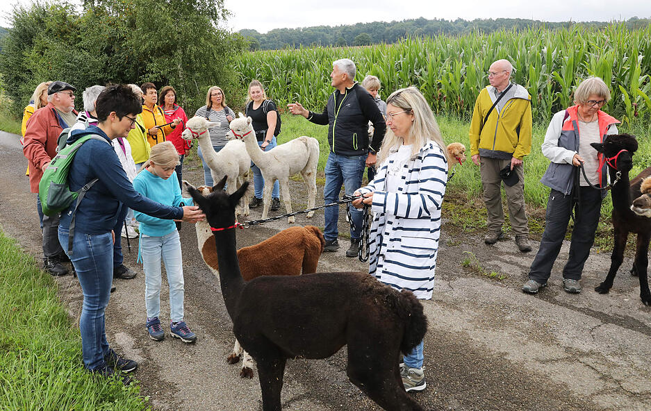 Ob im Stall oder auf dem Spaziergang mit den Tieren, Jung und Alt nahmen unvergessliche Eindr&uuml;cke mit auf den Heimweg.