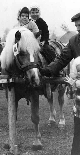 Impressionen aus 60 Jahren Pferdemarkt