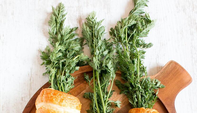 Fast zu schade zum Essen: Aus Bl&auml;tterteig geformte H&ouml;rnchen werden mit einer Paste aus Hummus, Linsen, M&ouml;hren und Waln&uuml;sse gef&uuml;llt. Glatte Petersilie wird zum Karottengr&uuml;n.