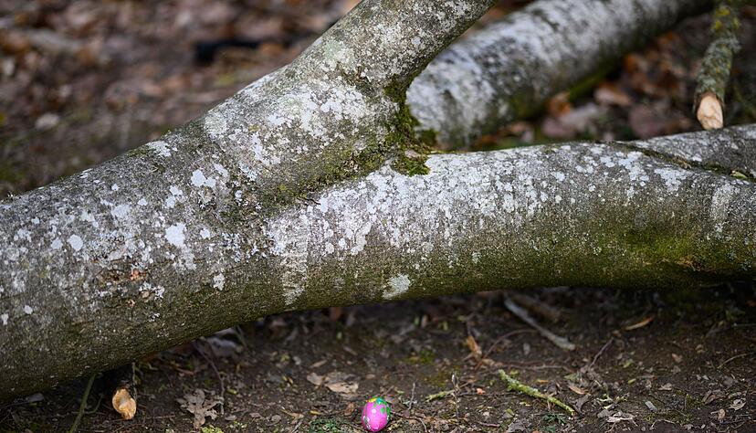 Bei einem Ungl&uuml;ck am Ostersonntag sterben im n&ouml;rdlichen Schleswig-Holstein drei Menschen.