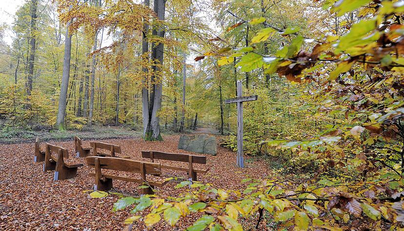 &Auml;hnlich dem Pfadbirkle in Eberstadt, den das Erlenbacher Ratsgremium im April 2018 besucht hat, soll auch der Waldfriedhof in Erlenbach werden.
Foto: Dennis Mugler