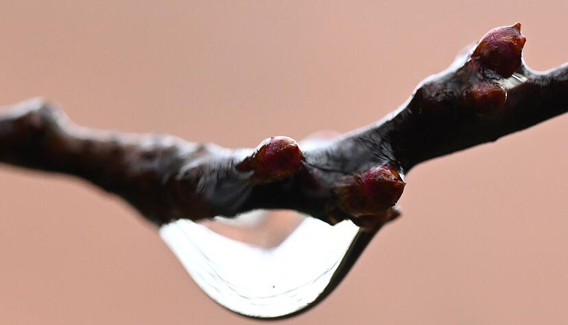 In der kommenden Woche wird es regnerisch. (Symbolbild)