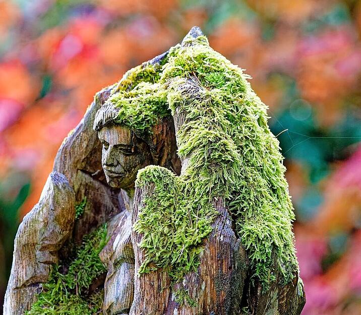 Wolfgang Kynast aus Heilbronn ist oft auf dem Hauptfriedhof und hat immer seine Kamera dabei. Nicht nur Eichhörnchen sind dort tolle Motive.