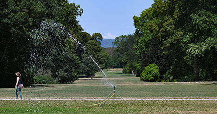 Kommunen verfolgen unterschiedliche Ansätze, um bei Trockenheit Wasser zu sparen. Kommunen verfolgen unterschiedliche Ansätze, um bei Trockenheit Wasser zu sparen.