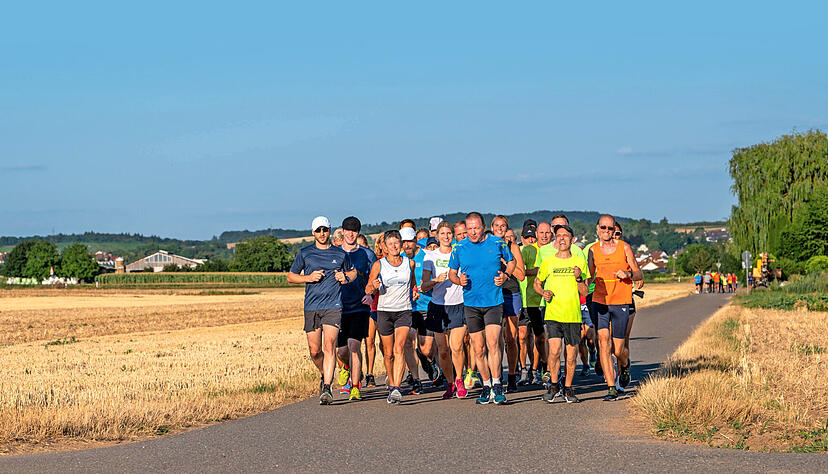 Bereits seit 2004 wird alljährlich der Bottwartal-Marathon durchgeführt.
Foto: Archiv Bereits seit 2004 wird alljährlich der Bottwartal-Marathon durchgeführt.
Foto: Archiv
