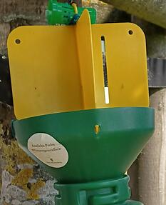 Mit solchen Fallen soll der Japankäfer rechtzeitig entdeckt werden. Mit solchen Fallen soll der Japankäfer rechtzeitig entdeckt werden.