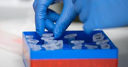 Eine Laborantin sortiert Proben. Eine Laborantin sortiert Proben.