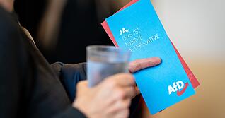 Um den Umgang mit der AfD ist in der Wirtschaft jüngst eine Debatte entstanden. Die Unternehmen und Verbände in der Region und aus Baden-Württemberg zeigen klare Kante.