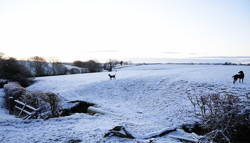 Wei&szlig;e Flocken, kr&auml;ftiger Wind, kalte N&auml;chte: Baden-W&uuml;rttemberg bekommt einen echten Wintermix.