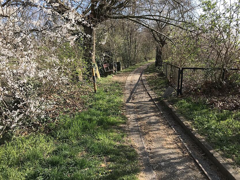 Fast schon idyllisch liegt das Gleis neckarabwärts nach der Schleuse. Fast schon idyllisch liegt das Gleis neckarabwärts nach der Schleuse.