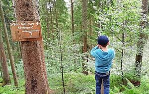 Auf einem Wanderweg der Stadt wollen Bürger einen Naturerlebnispfad für Kinder und Erwachsene einrichten.