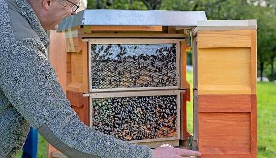 Auf dem Bienenlehrpfad des Obersulmer Obsterlebnisses.
Fotos: Christiana Kunz Auf dem Bienenlehrpfad des Obersulmer Obsterlebnisses.
Fotos: Christiana Kunz