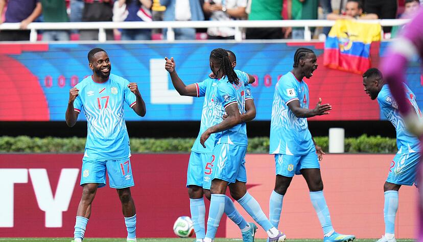 Jubel über den Treffer zur WM-Teilnahme Jubel über den Treffer zur WM-Teilnahme