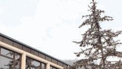 Auf Eis gelegt. Die Turn- und Festhalle wird vorerst nicht einem Neubau weichen. Immerhin wurde aber schon in die Planung investiert.Foto: Henry Doll Auf Eis gelegt. Die Turn- und Festhalle wird vorerst nicht einem Neubau weichen. Immerhin wurde aber schon in die Planung investiert.Foto: Henry Doll