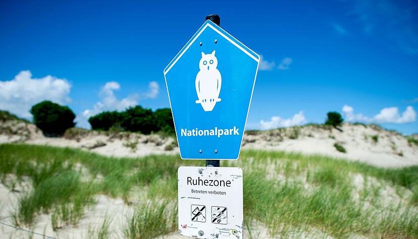 In der Ruhezone des Nationalparks Niedersächsisches Wattenmeer gelten die strengsten Schutzbestimmungen. (Archivbild) In der Ruhezone des Nationalparks Niedersächsisches Wattenmeer gelten die strengsten Schutzbestimmungen. (Archivbild)