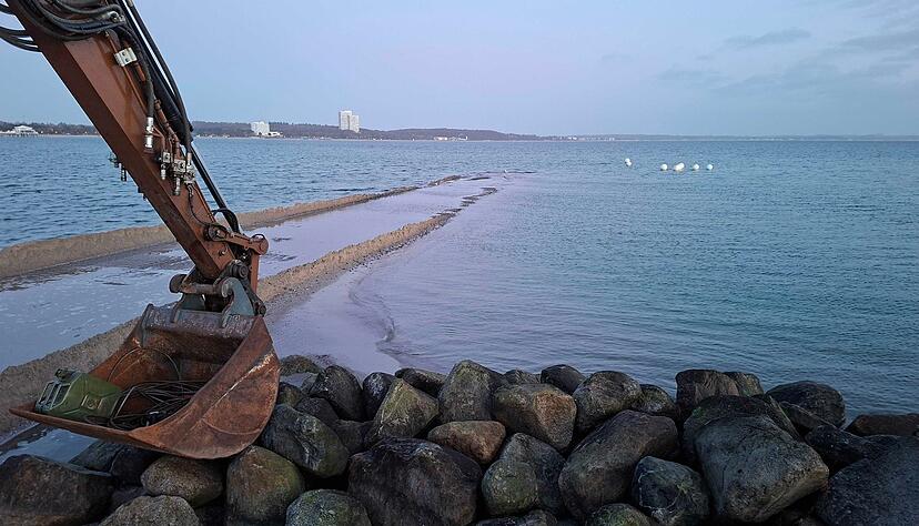 Am Freitagmorgen war der Wal nicht mehr zu sehen. Am Freitagmorgen war der Wal nicht mehr zu sehen.