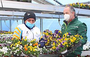 Jetzt m&uuml;ssen die Fr&uuml;hlingsbl&uuml;her raus: Ernst Hachtel (re.) und sein Mitarbeiter Theo Moldowan packten sie gleich kistenweise auf die Wagen.