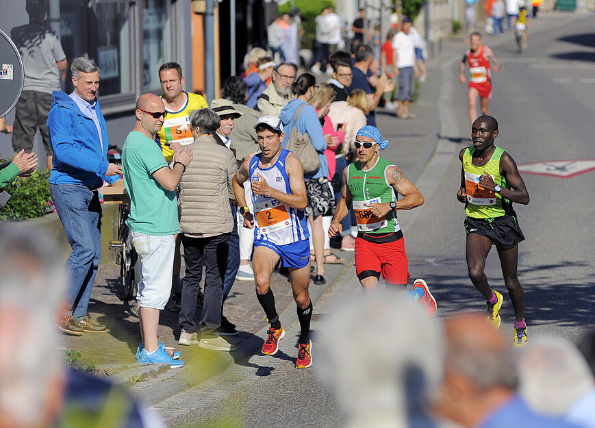 Trollinger Marathon bei Flein