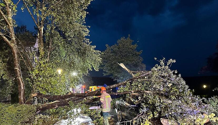 Ein heftiger Strum ließ in Tuttlingen Bäume umknicken. Ein heftiger Strum ließ in Tuttlingen Bäume umknicken.