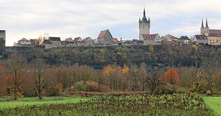 Die Staufer haben die Wimpfen geprägt. Ihr Wirken ist bis heute spürbar: König Heinrich (VII). schenkte den Wimpfenern einst jenen Forst, der nun Standort der Windkraftanlage werden soll. Foto: Ute Plückthun Die Staufer haben die Wimpfen geprägt. Ihr Wirken ist bis heute spürbar: König Heinrich (VII). schenkte den Wimpfenern einst jenen Forst, der nun Standort der Windkraftanlage werden soll. Foto: Ute Plückthun