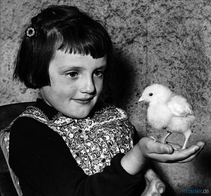 1957: Der Fotograf fängt den Augenblick ein. 1957: Der Fotograf fängt den Augenblick ein.