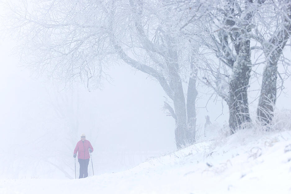 Eine Frau geht mit Wanderstöcken auf dem Schauinsland einen verschneiten Weg entlang. Schneefall lockt viele Menschen im Südwesten vor die Haustüre.