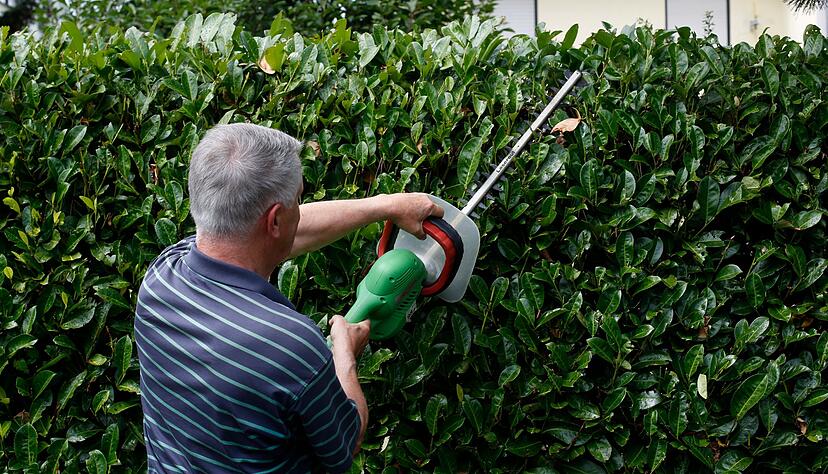 Kahlschlag? Manchmal kann eine Hecke auch die Sicht im Verkehrsgeschehen behindern - in einem Fall wurde deswegen eine Stadt verklagt. Kahlschlag? Manchmal kann eine Hecke auch die Sicht im Verkehrsgeschehen behindern - in einem Fall wurde deswegen eine Stadt verklagt.