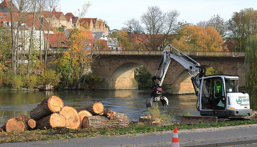 Am Wochenende sind die acht Pappeln an der Uferstra&szlig;e in Lauffen gef&auml;llt worden.