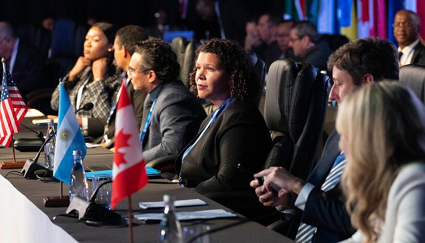 Dana Brown, US-Charg&eacute; d'Affaires in S&uuml;dafrika und amtierende US-Botschafterin (Mitte), vertritt US-Au&szlig;enminister Marco Rubio beim G20-Au&szlig;enministertreffens in Johannesburg, S&uuml;dafrika.