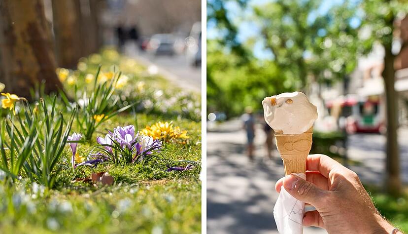 Den ersten Sommertag k&ouml;nnte es am Samstag in Baden-W&uuml;rttemberg geben. (Collage)