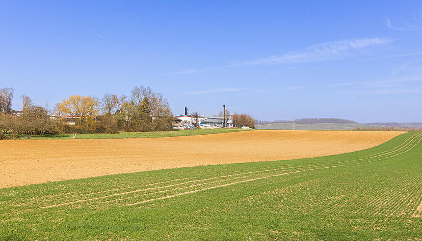Die Fläche, die ein neues Gewerbegebiet werden soll, grenzt an die Brackenheimer Straße im Areal Schleifweg in Frauenzimmern an. Bislang handelt es sich um Ackerland. Die Fläche, die ein neues Gewerbegebiet werden soll, grenzt an die Brackenheimer Straße im Areal Schleifweg in Frauenzimmern an. Bislang handelt es sich um Ackerland.