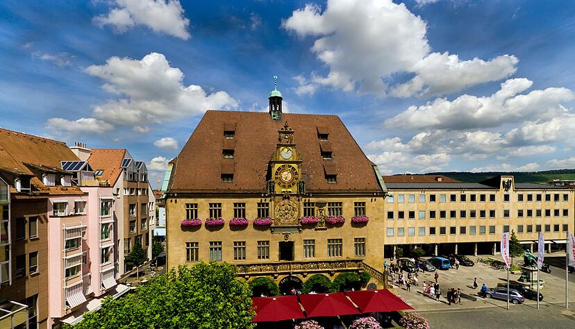 Die Stadt Heilbronn sucht wieder neue Käthchen.
