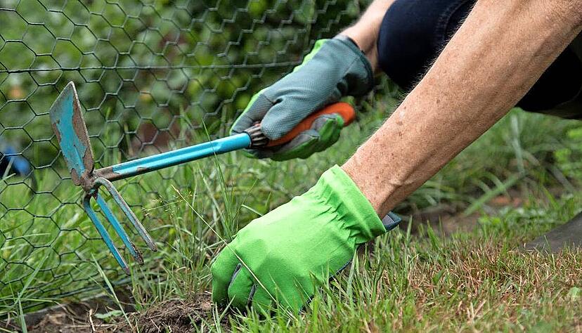 Kahle Stellen im Rasen? Mit dem Nachsäen sollten Hobbygärtner warten, bis der Boden eine konstante Temperatur von mindestens acht Grad erreicht hat. Foto: dpa