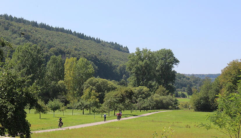 Nur zwischen Forchtenberg und Ernsbach folgt der Württemberger Wein-Wanderweg dem Kocher-Jagst-Radweg. Auf den weiteren Abschnitten hält er Abstand zu den Radfahrern. Nur zwischen Forchtenberg und Ernsbach folgt der Württemberger Wein-Wanderweg dem Kocher-Jagst-Radweg. Auf den weiteren Abschnitten hält er Abstand zu den Radfahrern.