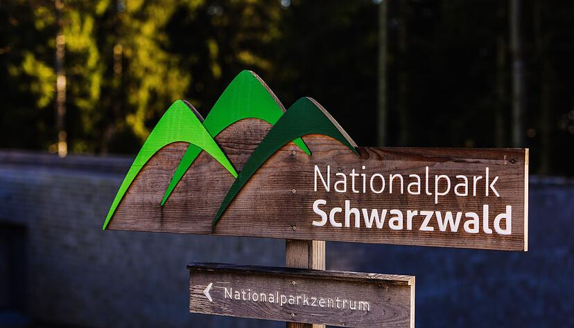 Der Nationalpark Schwarzwald soll k&uuml;nftig aus einem zusammenh&auml;ngenden Gebiet bestehen. (Archivbild)