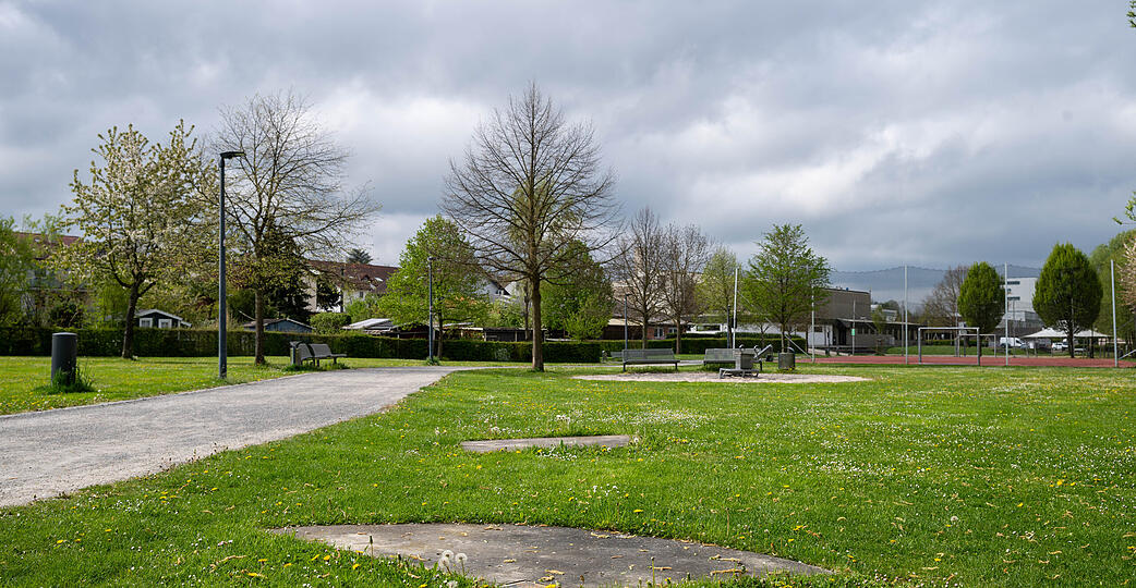 Auch im B&uuml;rgerpark sollen Fl&auml;chen f&uuml;r Schmetterlinge und Wildbienen entstehen.