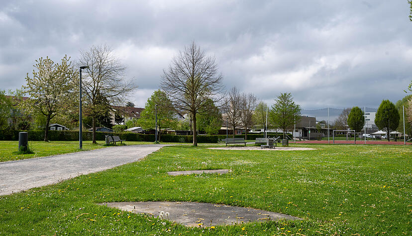 Auch im B&uuml;rgerpark sollen Fl&auml;chen f&uuml;r Schmetterlinge und Wildbienen entstehen.