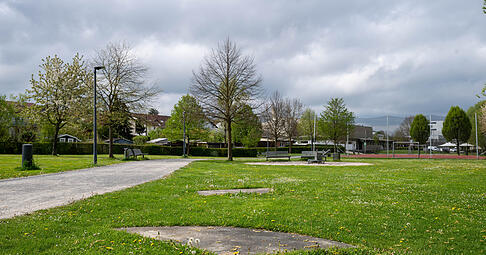 Auch im B&uuml;rgerpark sollen Fl&auml;chen f&uuml;r Schmetterlinge und Wildbienen entstehen.