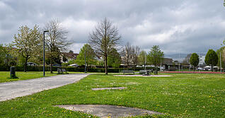 Auch im B&uuml;rgerpark sollen Fl&auml;chen f&uuml;r Schmetterlinge und Wildbienen entstehen.