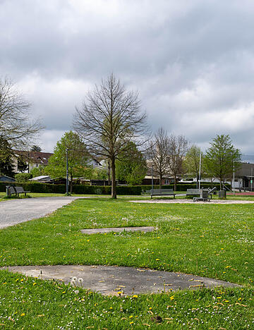 Auch im B&uuml;rgerpark sollen Fl&auml;chen f&uuml;r Schmetterlinge und Wildbienen entstehen.